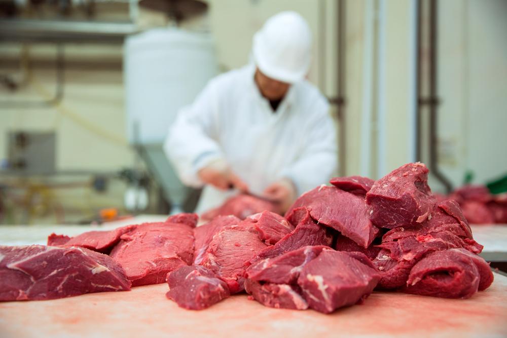 Fresh and frozen venison packaging options for hunters