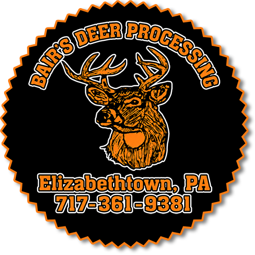 Company Header Logo